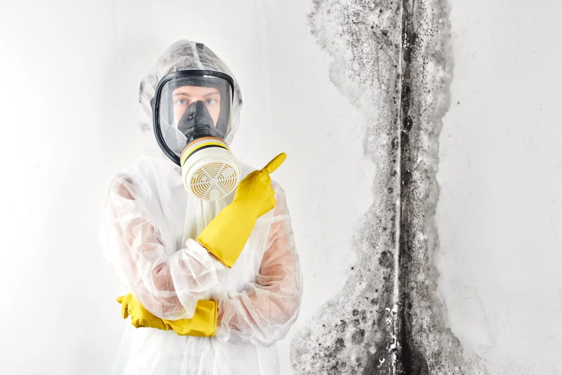 Wall moisture test 